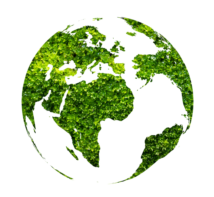 earth day green globe on white isolate background