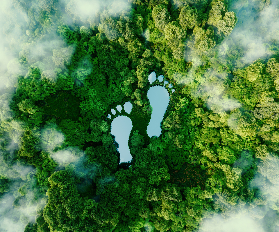 A lake in the shape of human footprints in the middle of a lush forest as a metaphor for the impact of human activity on the landscape and nature in general. 3d rendering.